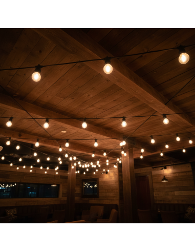 Lámpara Filamento LED 1W Cálida [LA01W-G-C]