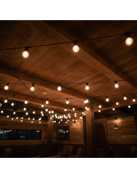 Lámpara Filamento LED 1W Cálida [LA01W-G-C]