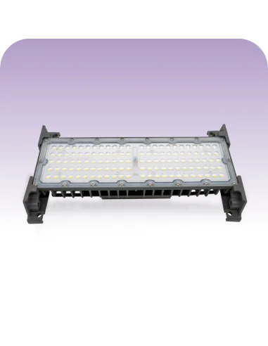 Reflector Modular 100W LED Fría [RM100W-F]