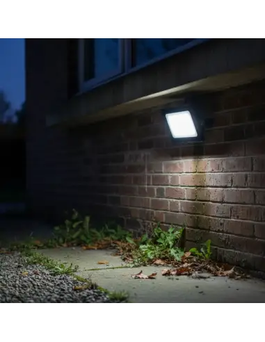 Reflector LED 20W luz Fría - Exterior IP65 Alta Eficiencia | Lion