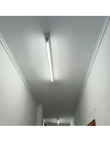 Tubo LED T8 48W Luz Fría - 240cm Alta Intensidad | Lion