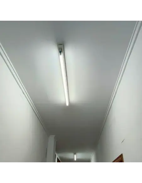 Tubo LED T8 48W Luz Fría - 240cm Alta Intensidad | Lion