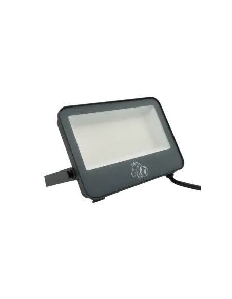 Reflector LED 100W acero y vidrio blureado Lion