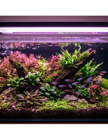 Tubo LED Grolux T8 16W - Luz Rosada para Cultivo 90cm | Lion