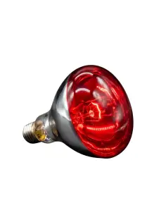 Lámpara infrarroja 250W roja [IR250W-R] 2
