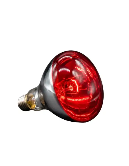 Lámpara infrarroja 250W roja [IR250W-R]