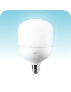 Lámpara Alta Potencia 100W Fría [LH100W-F]
