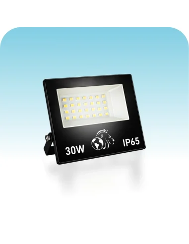 Reflector LED 30W Fría [PR30W-F]