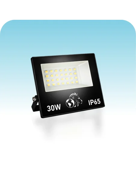 Reflector LED 30W Fría [PR30W-F]