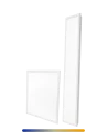 CCT
