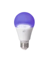 Ultravioleta LED
